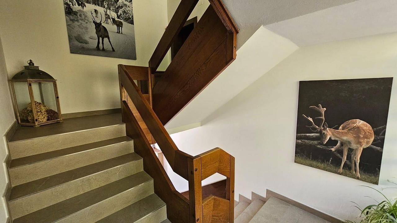 Ganze Ferienwohnung, Ferienwohnung für 4 Personen (40 m²) in Bad Kleinkirchheim in Bad Kleinkirchheim, Nockberge