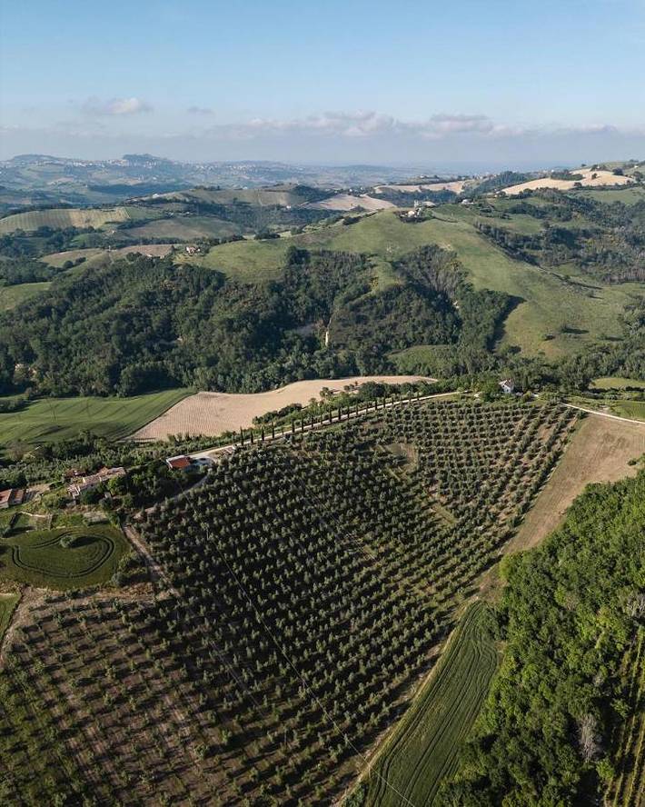 Gîte pour 5 personnes, avec jardin et piscine, animaux acceptés à Petritoli - 2