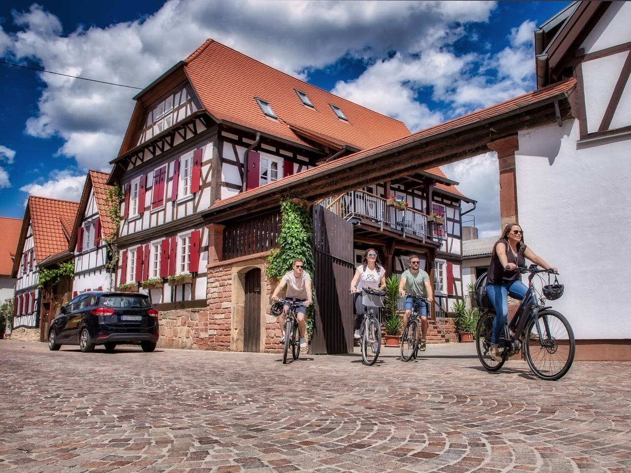 Ferienwohnung für 4 Personen in Steinweiler, Pfälzer Weinland