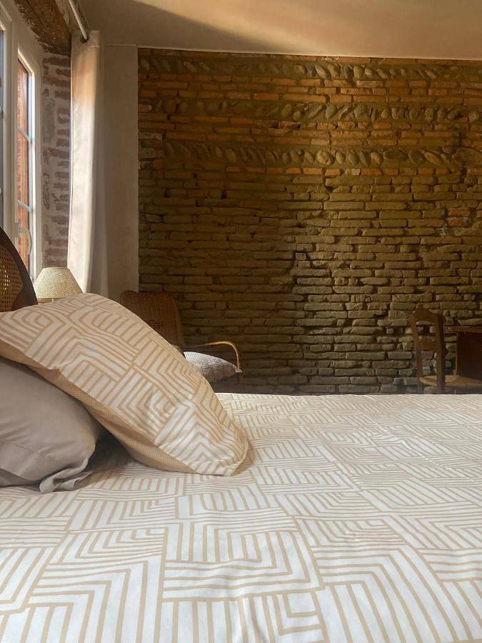 Double Room with Shared Bathroom in Carbonne, Haute-Garonne