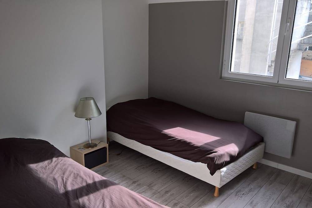 Ganze Wohnung, T4 Zentrum Lourdes und in der Nähe von Heiligtümern in Lourdes, Hautes-Pyrénées