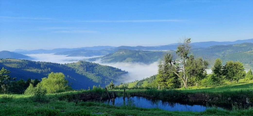 Cottage pour 3 personnes, animaux acceptés