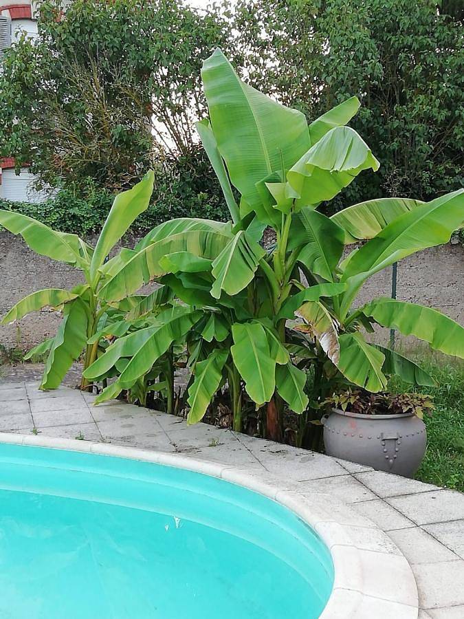 Location de vacances pour 2 personnes, avec piscine et jardin à Montceau-les-Mines - 3