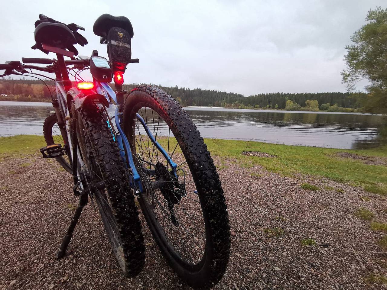 Ganze Ferienwohnung, Ferienwohnung Pepe - Ferienwohnung, 34qm, 1 Wohn-/Schlafzimmer, max. 3 Personen (2 Erw.) in Donaueschingen, Mittlerer Schwarzwald