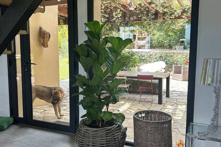 Location de vacances pour 10 personnes, avec piscine à Maraussan - 4