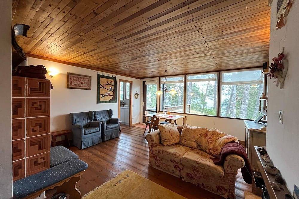 Chalet nestled in the woods a few minutes from Cortina d 'Ampezzo in Borca di Cadore, Dolomiti Superski