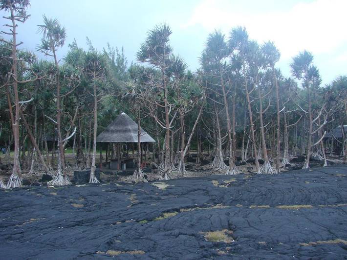 Location de vacances pour 2 personnes, avec jardin dans Piton de la Fournaise - 3