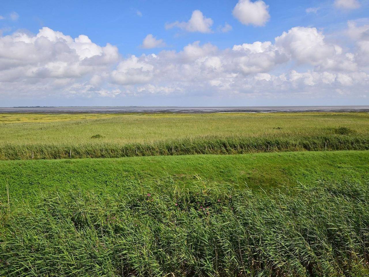 Ganze Ferienwohnung, Thora Jaiken - Hüs Thora Jaiken "App.Birthe" in Rantum, Sylt (Gemeinde)
