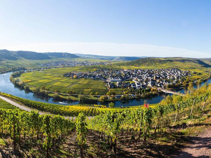 Ferienwohnung für 2 Personen, mit Garten, kinderfreundlich in Schweich an der Römischen Weinstraße - 2