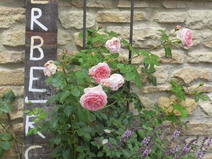 Ferienwohnung für 2 Personen, mit Garten in Rheinhessen - 2
