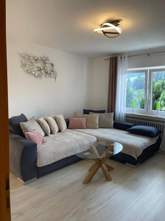 Ganze Wohnung, Albblick in Albstadt, Neckar-Alb