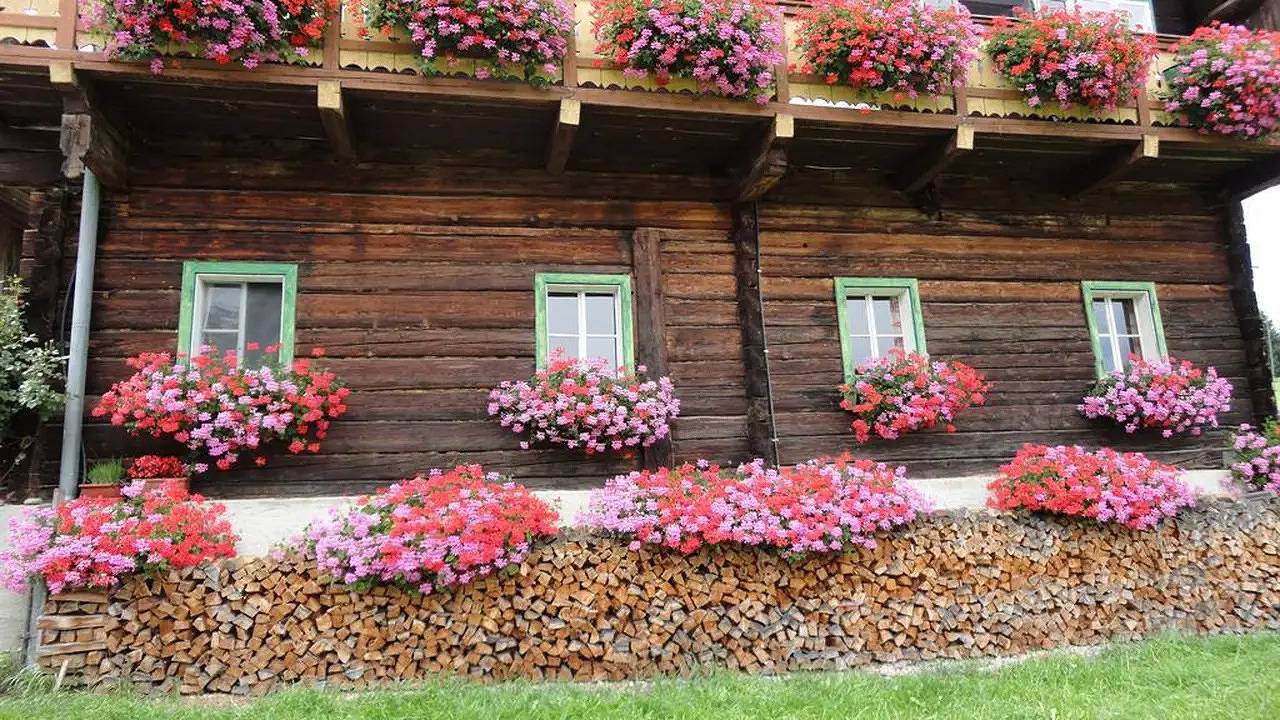 Ganze Ferienwohnung, Ferienwohnung für 3 Personen in Schladming in Rohrmoos, Schladming-Dachstein