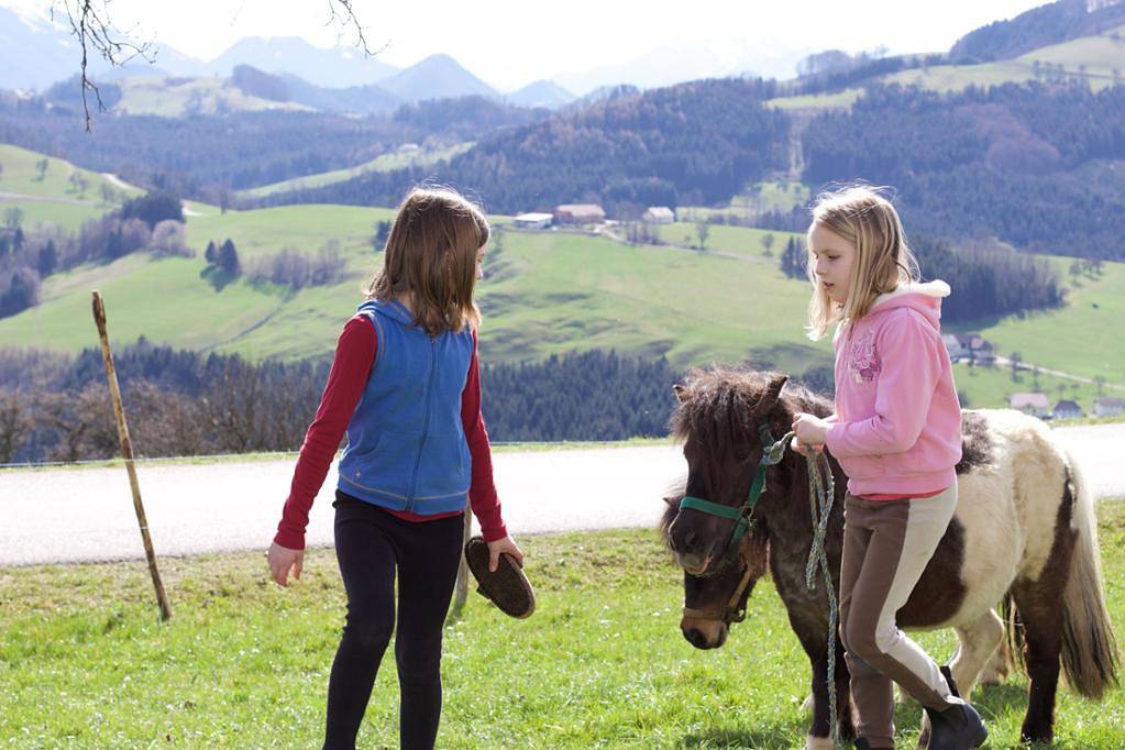 Apartamento entero, Haaghof Ertl - Giggerl Zimmer in Ertl, Mostviertel Region