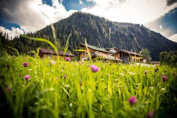 Ferienhaus für 4 Personen, mit Ausblick und Sauna sowie Balkon in Tannheimer Tal