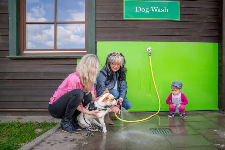 Bungalow für 4 Personen, mit Balkon und Balkon/Terrasse in Bad Sachsa - 4