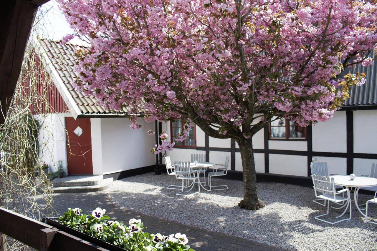 Landet Bed and Breakfast in Schwedische Ostsee