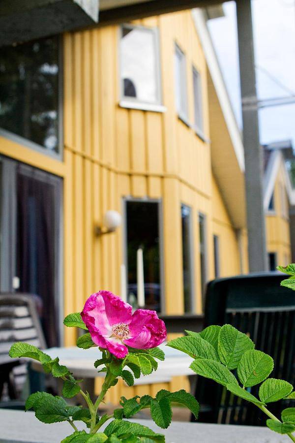 Ferienhaus für 6 Personen, mit Terrasse und Garten sowie Sauna und Seeblick in Mirow