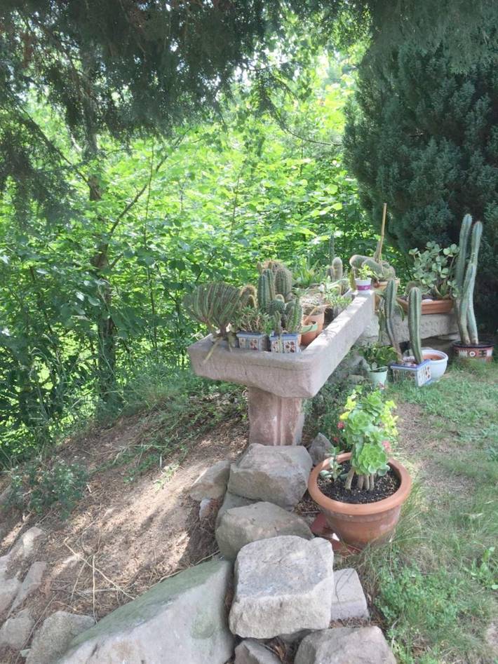 Gîte pour 12 personnes, avec jardin ainsi que sauna et vue à Lapoutroie - 4