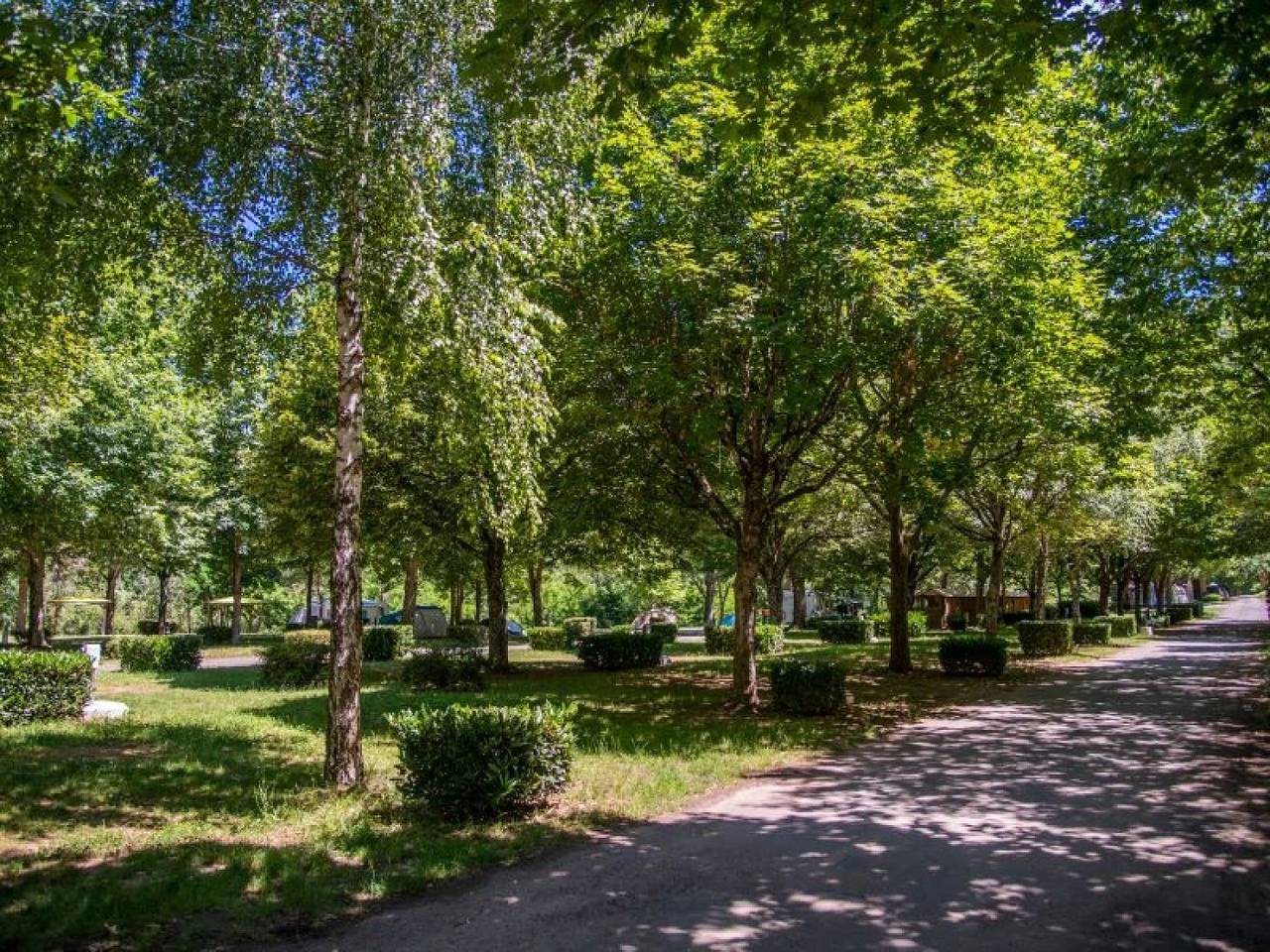 Camping 3 étoiles - Piscine  - ccbecgh in Florac-Trois-Rivières, Cevennen