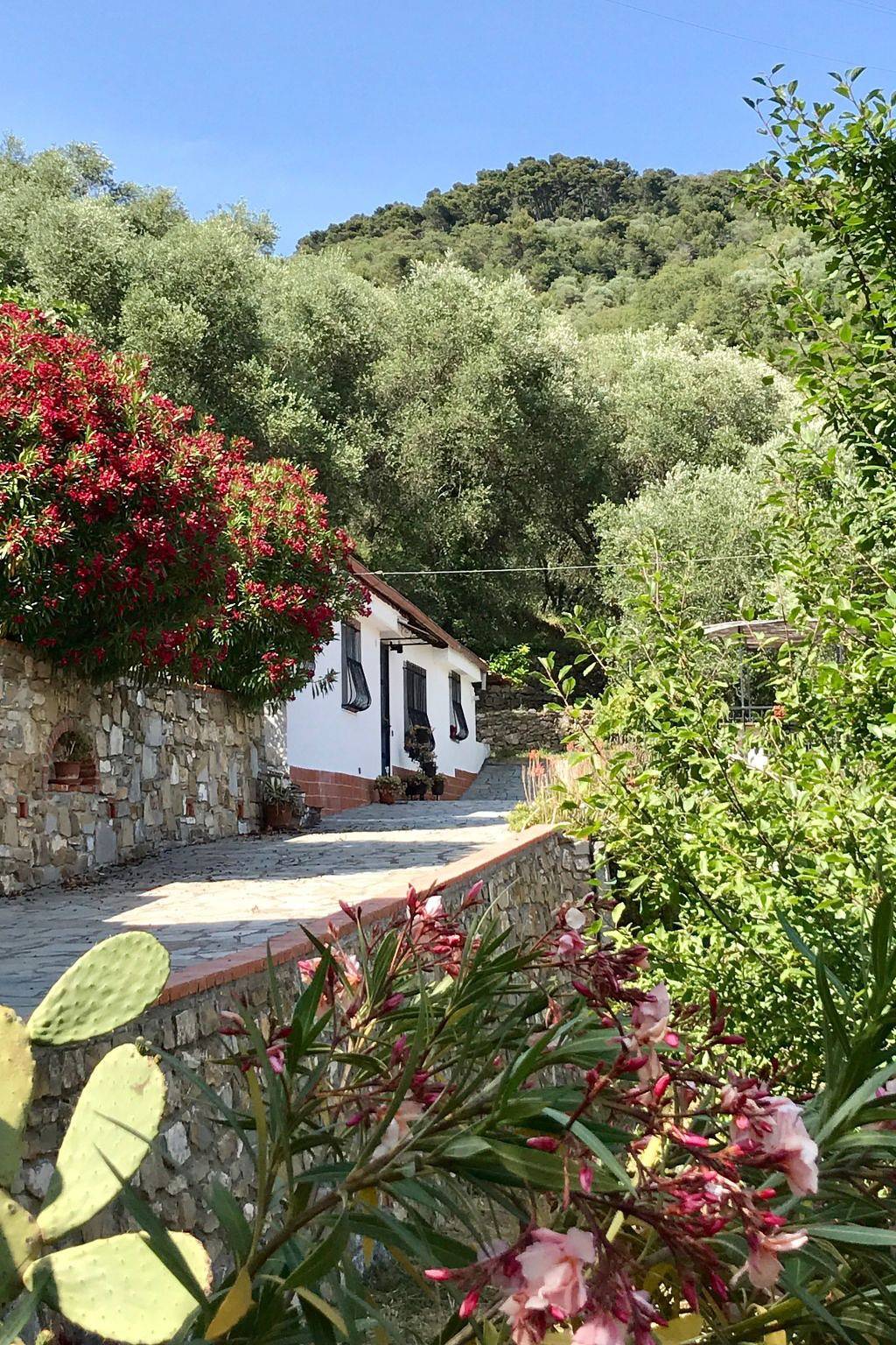Casa Uliveto in Diano San Pietro, Riviera di Ponente