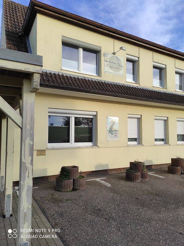 Ganze Ferienwohnung, Appartmenthaus Trischenweg 1 - Fewo Seagull - 1-Raum-Appartment Seagull in Büsum, Kreis Dithmarschen