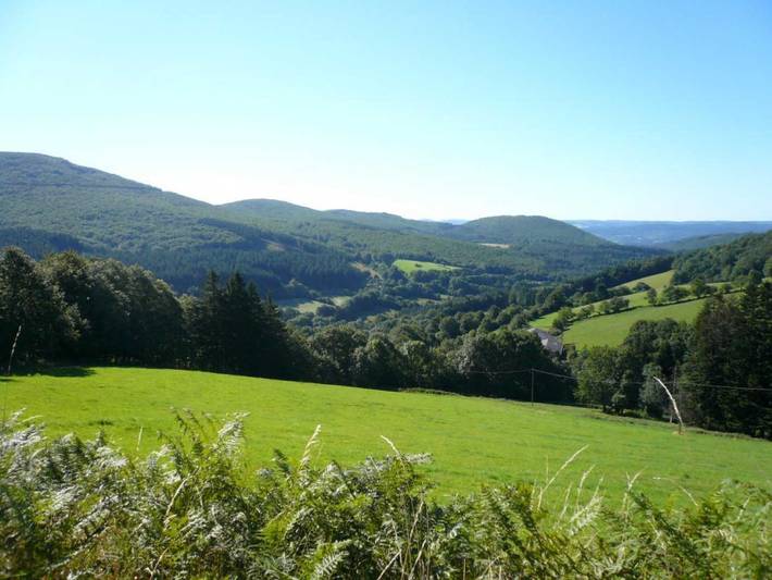 Chalet pour 4 personnes, avec terrasse et jardin dans le Tarn - 3