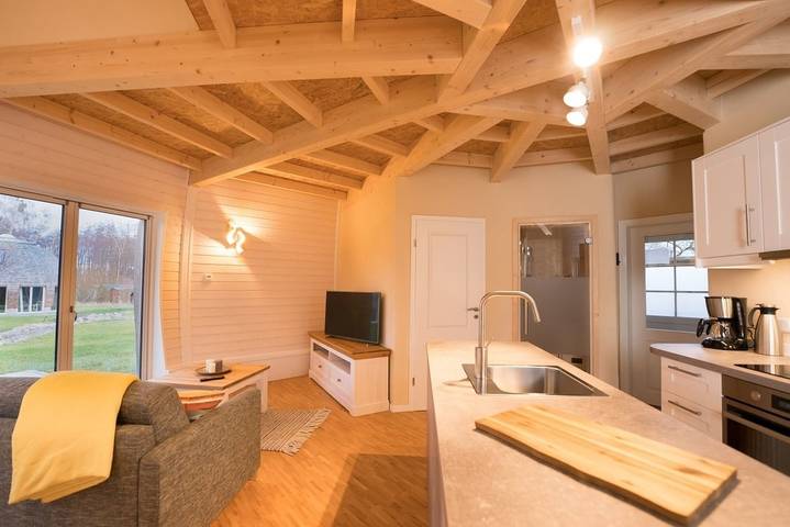 Ferienhaus für 6 Personen, mit Terrasse und Sauna, mit Haustier in Penzlin - 4