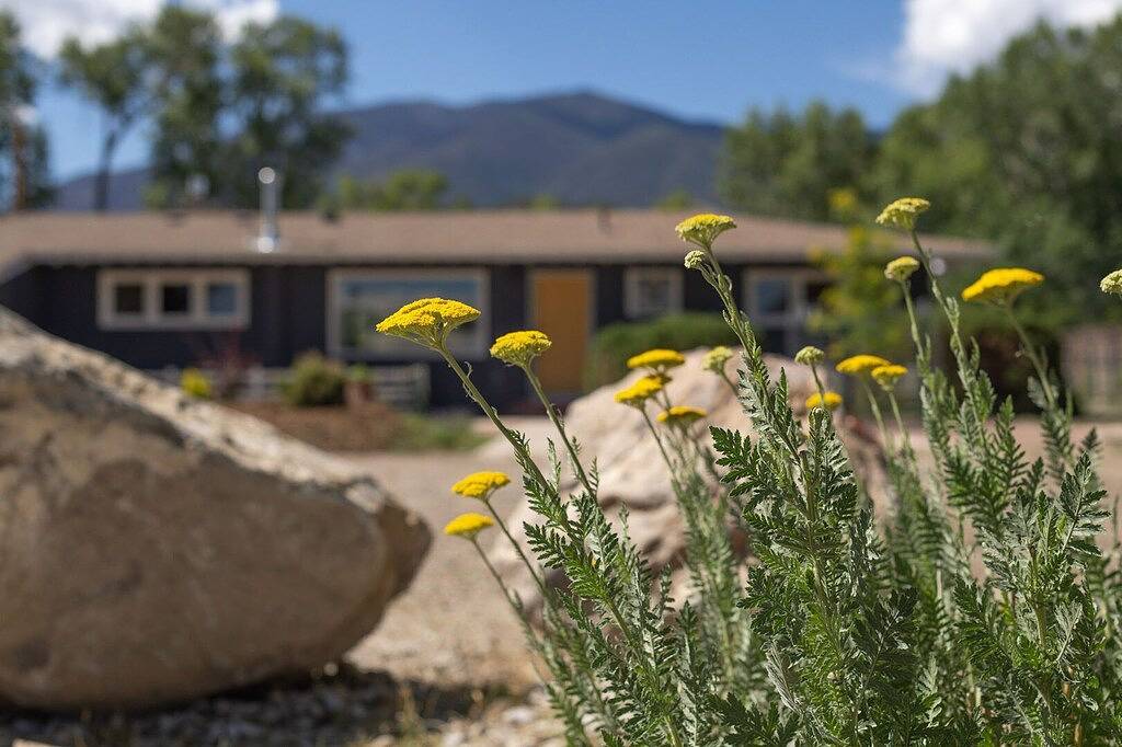 Fun and Eclectic Mcniffityville! Dog Friendly - Near Town! in Chaffee County