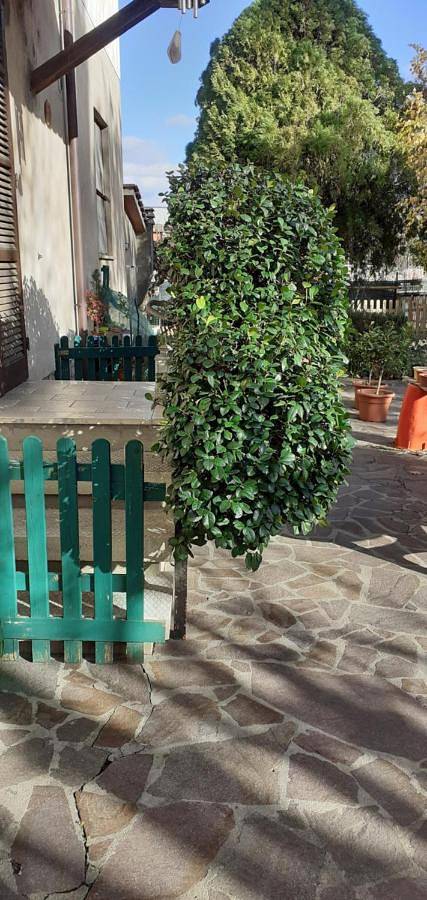 Chambre d’hôte pour 6 personnes, avec terrasse ainsi que jardin et vue à Arezzo - 3