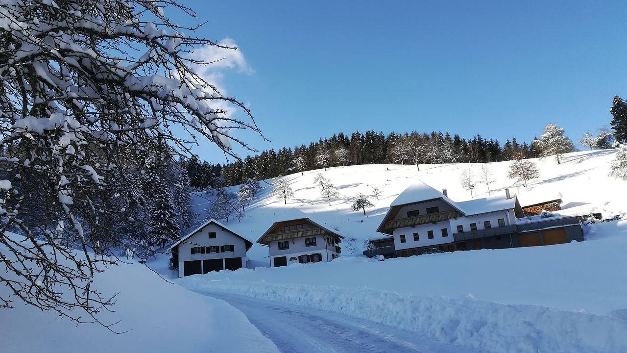 Ganze Ferienwohnung, Ferienwohnung für 3 Personen (50 m²) in Oberharmersbach in Oberharmersbach, Mittlerer Schwarzwald
