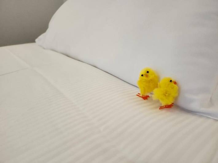 Maison d’hôte pour 3 personnes à Padoue - 3