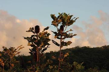 Villa for 5 People in Queensland, Australia, Photo 1