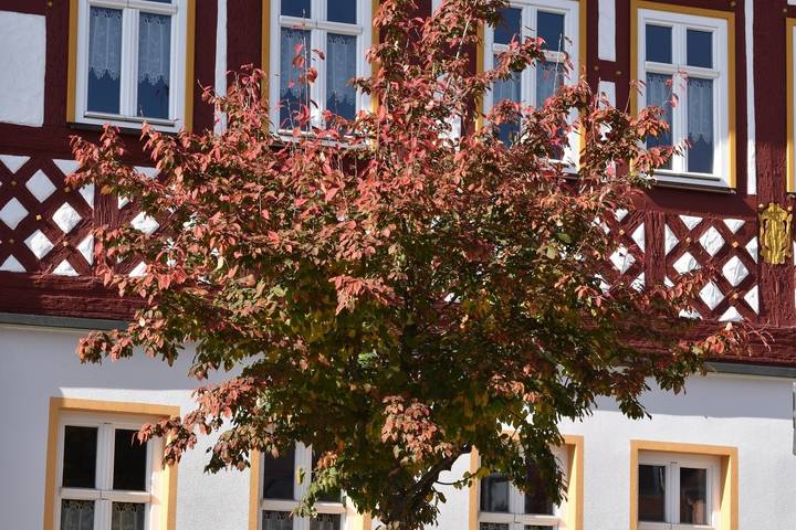 Ferienwohnung für 6 Personen