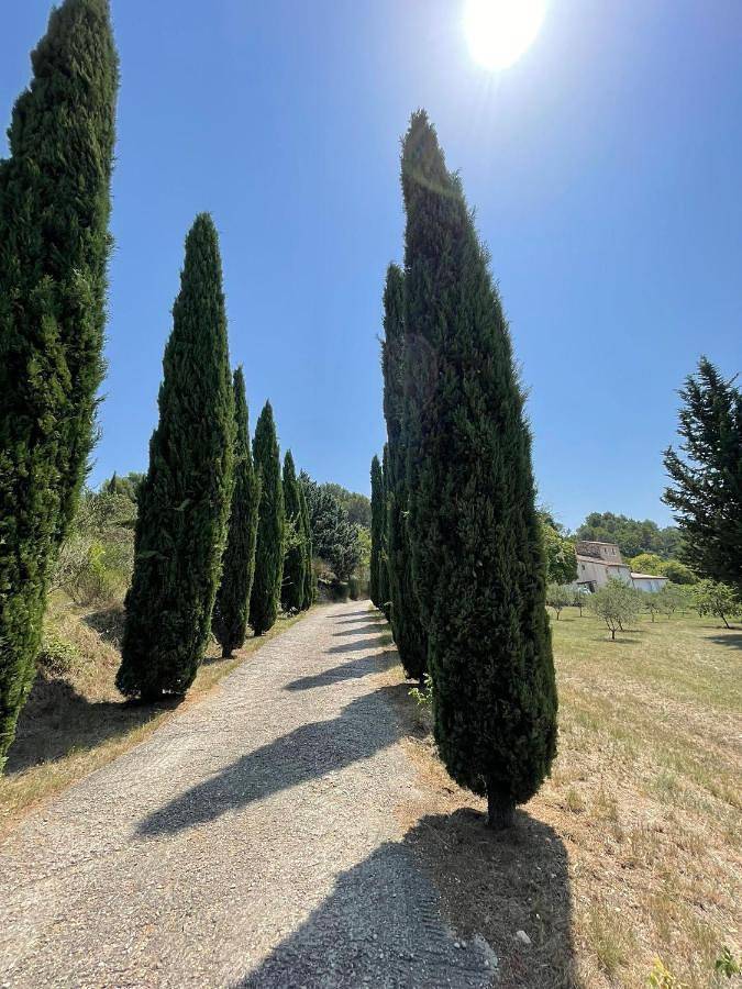 Location de vacances pour 2 personnes, avec terrasse et vue ainsi que jardin et piscine à Le Barroux - 2