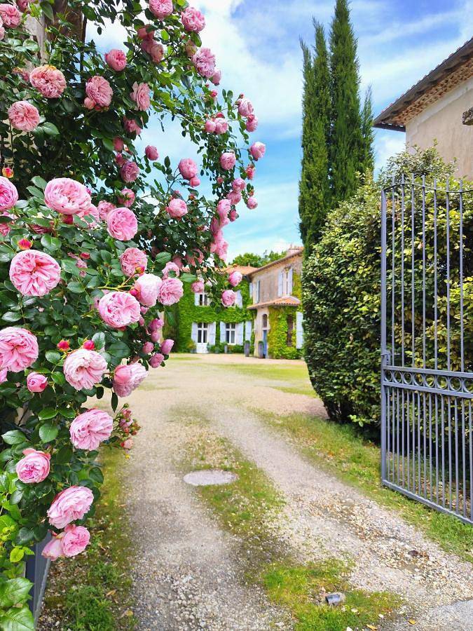Hôtel pour 3 personnes, avec jardin et vue, animaux acceptés à Semussac - 3
