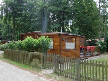 Ferienpark für 4 Personen in Graal-Müritz, Mecklenburgische Ostseeküste, Bild 4
