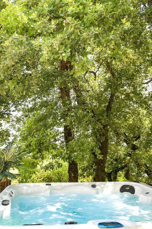 Gîte pour 2 personnes, avec piscine et sauna ainsi que jardin et vue à Rochefort-du-Gard - 4