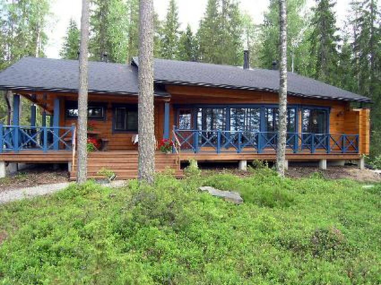 Mustikka in Eräkorpi, Nord-Savo