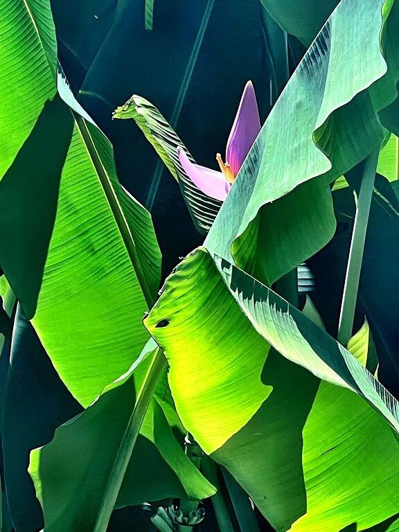 New Listing in Baton Rouge, East Baton Rouge Parish