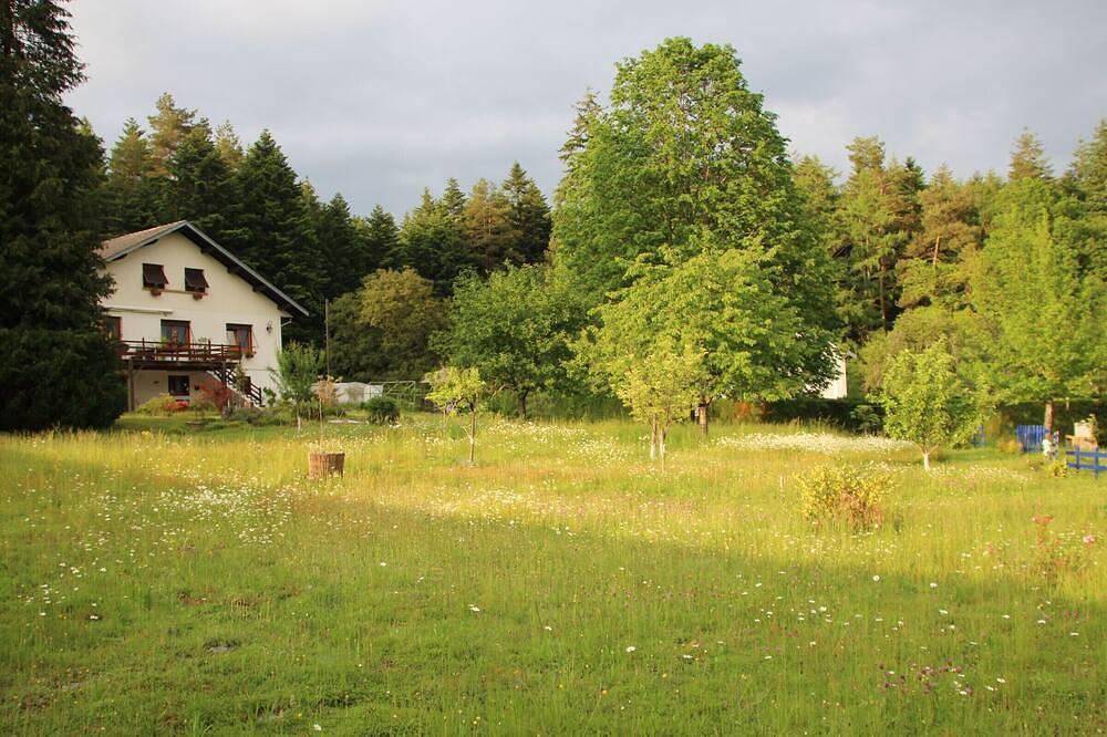 Gîte paisible en forêt avec terrasse, 4 personnes in La Bourgonce, Saint-Dié-des-Vosges