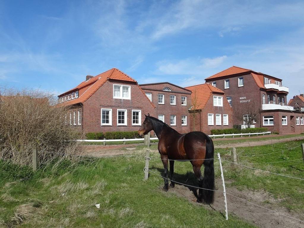 Sonnendeck im Haus Ferienglück in Juist