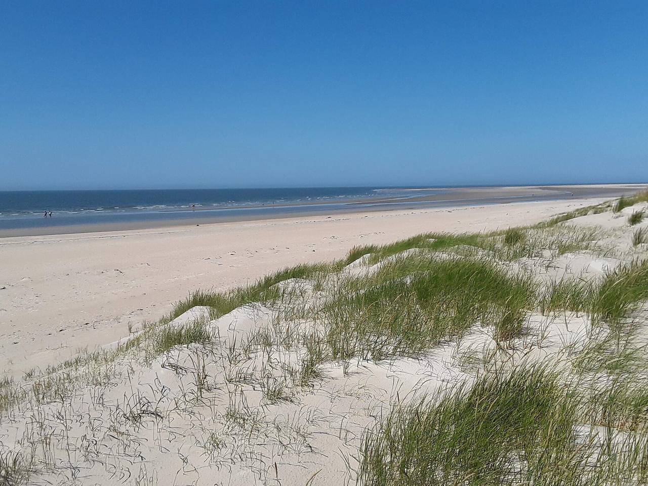 Luxuriöses Refugium mit Pool in Toftum, Wadden Sea National Park