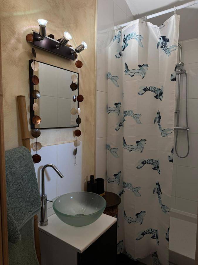 Gîte pour 2 personnes, avec jardin et terrasse à Chassieu - 4