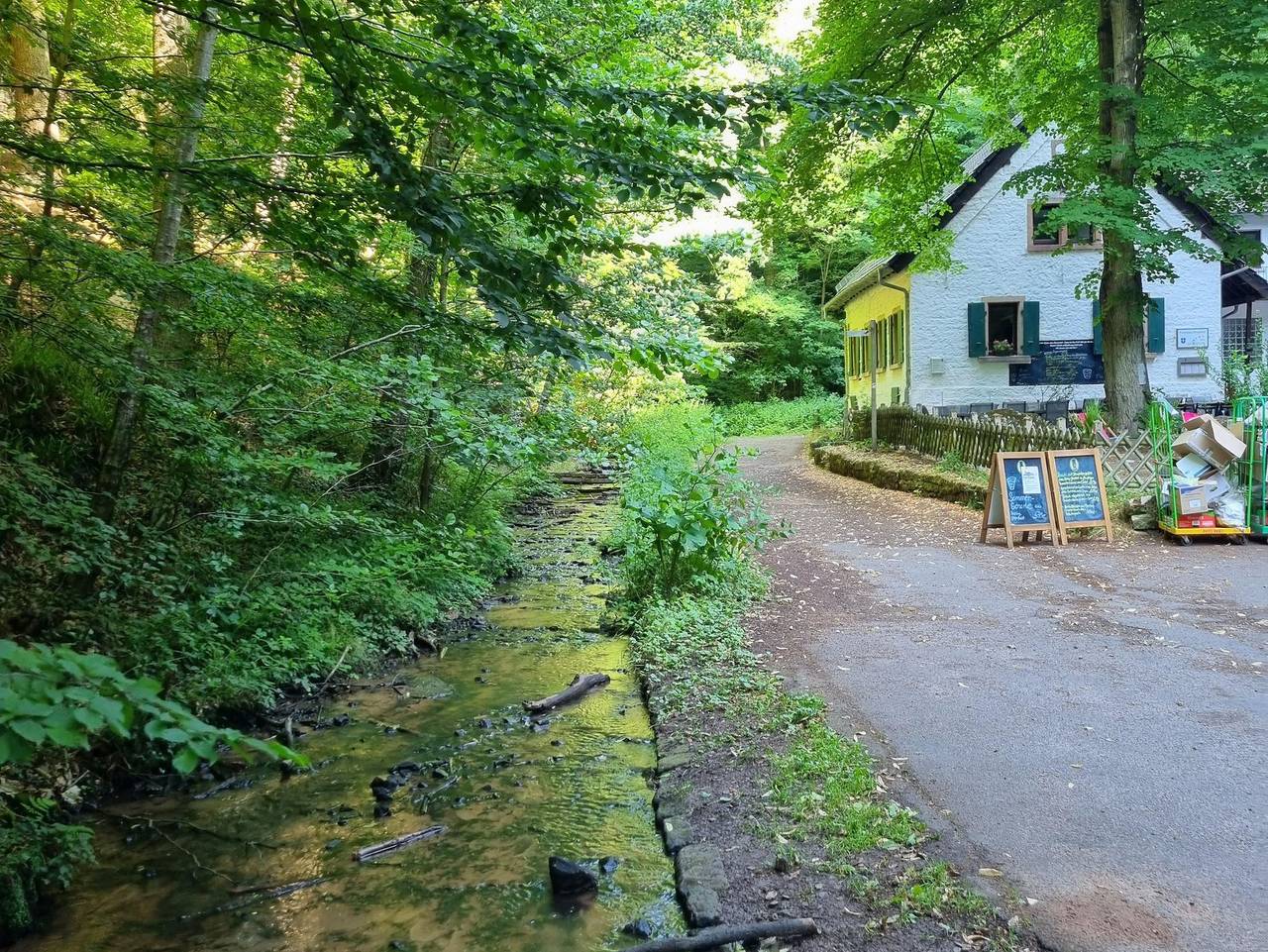 Ganze Ferienwohnung, Charlottes Waldresidenz - Charlottes Waldresidenz in Deidesheim, Deutsche Weinstraße