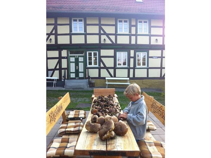 Ferienhaus für 14 Personen, mit Terrasse und Garten in Tanne - 2