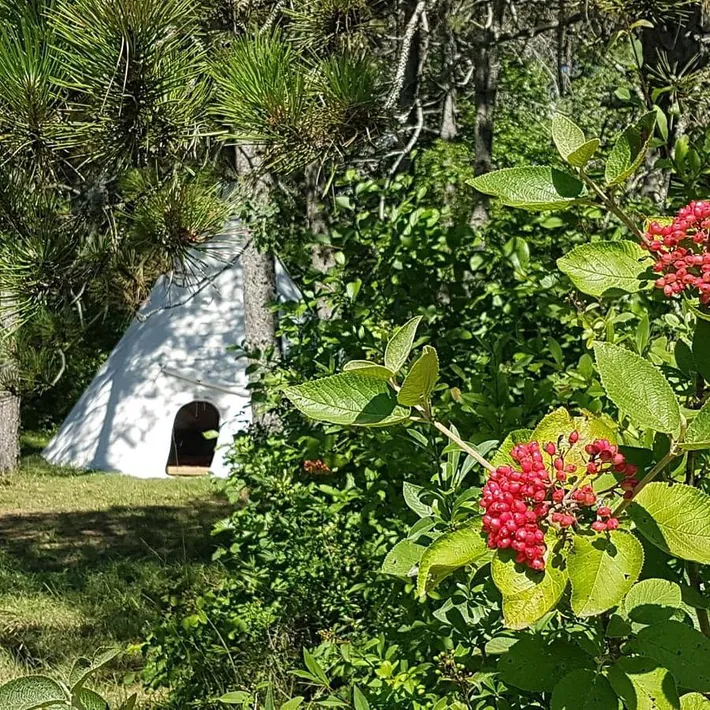 Tent in Détain-et-Bruant, Région de Dijon