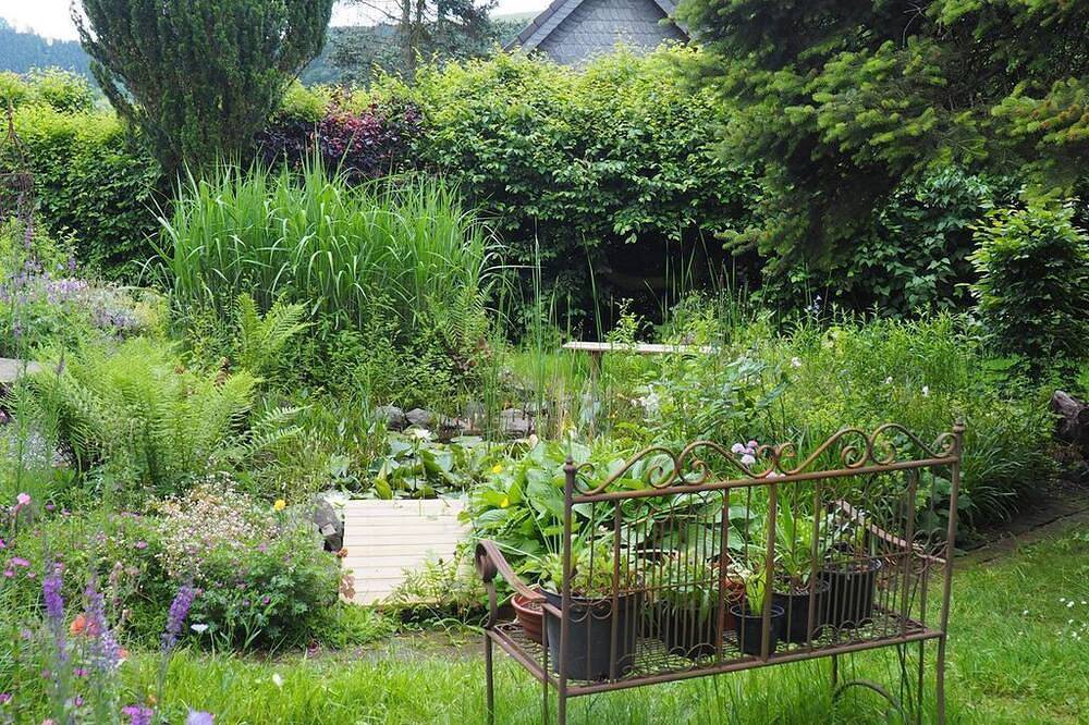 Ganze Wohnung, Ferienwohnungen \"Urlaub im Naturgarten\" - Appartement/Fewo, Dusche oder Bad, Wc, in Bergneustadt, Oberbergischer Kreis