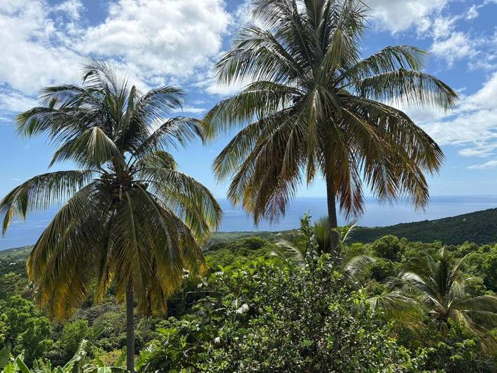 Gîte pour 4 personnes, avec vue ainsi que jardin et piscine à Vieux-Habitants - 3