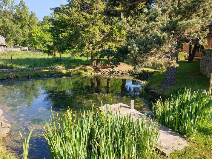 Camping pour 2 personnes, avec terrasse ainsi que jardin et vue, animaux acceptés en Haute-Loire - 4