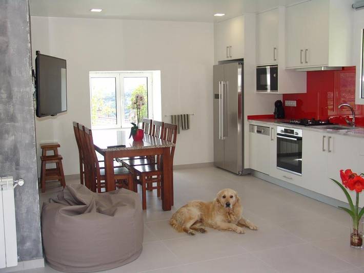 Casa rural para 4 personas, con vistas además de piscina y jardín, Se admiten mascotas en Arcos de Valdevez - 3